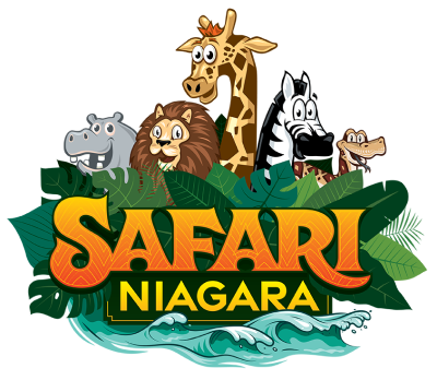 Safari Niagara